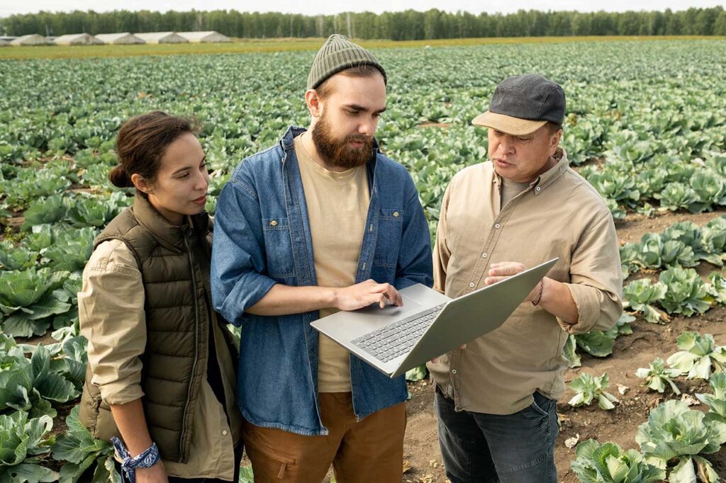 Ciberseguridad en la agricultura, la ganadería y la pesca